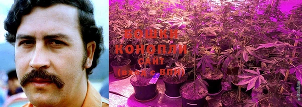 COCAINE Белокуриха